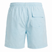 Lined Swim Trunks