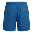 Lined Swim Trunks